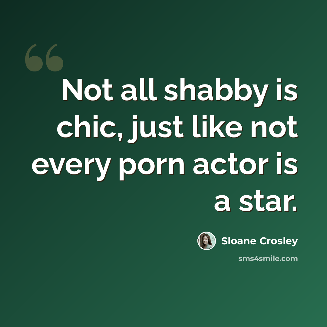 “Not all shabby is chic, just like not every porn actor is a star.” quote by Sloane Crosley