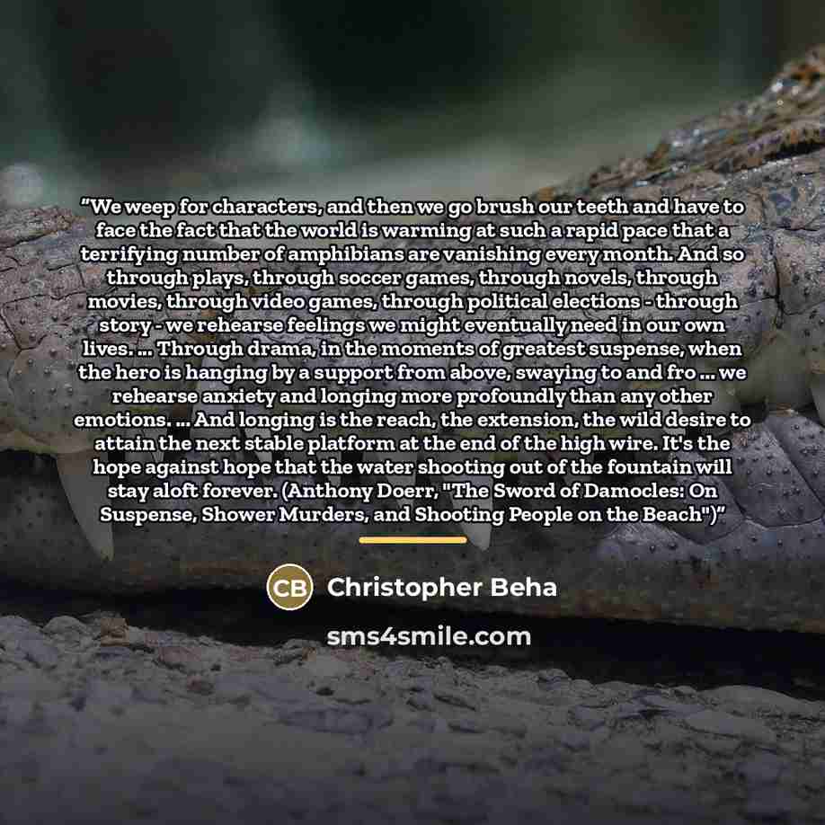 “We weep for characters, and then we go brush our teeth and have to face the fact that the world is warming at such a rapid pace that a terrifying number of amphibians are vanishing every month. And so through plays, through soccer games, through novels, through movies, through video games, through…” quote by Christopher Beha