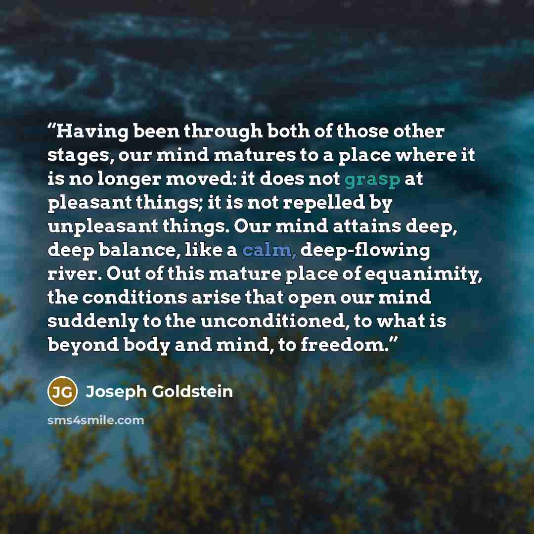 “Having been through both of those other stages, our mind matures to a place where it is no longer moved: it does not grasp at pleasant things; it is not repelled by unpleasant things. Our mind attains deep, deep balance, like a calm, deep-flowing river. Out of this mature place of equanimity, the…” quote by Joseph Goldstein