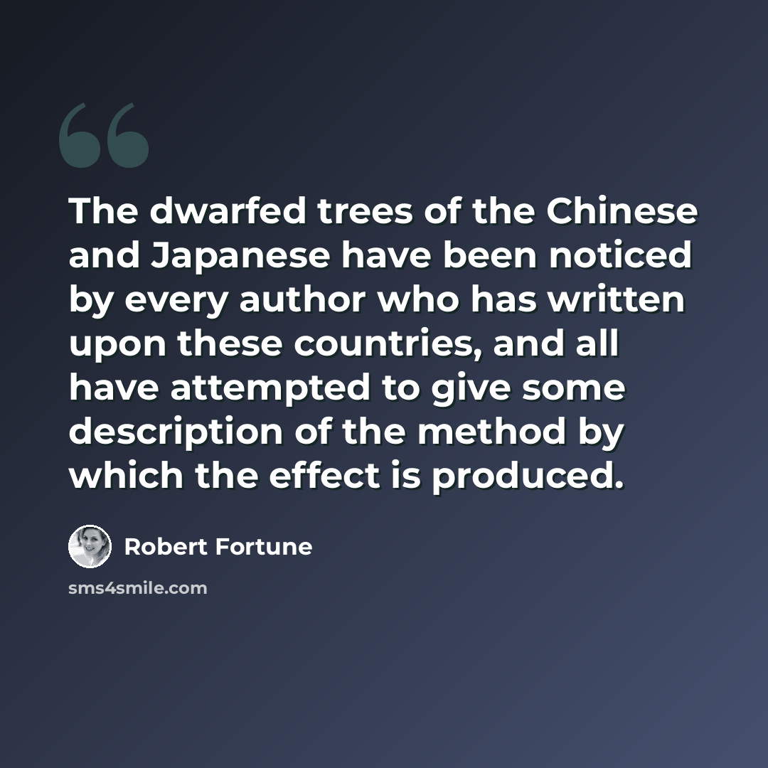 “The dwarfed trees of the Chinese and Japanese have been noticed by every author who has written upon these countries, and all have attempted to give some description of the method by which the effect is produced.” quote by Robert Fortune