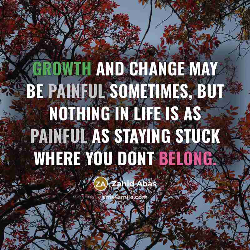 “Growth and change may be painful sometimes, but nothing in life is as painful as staying stuck where you dont belong.” quote by Zahid Abas