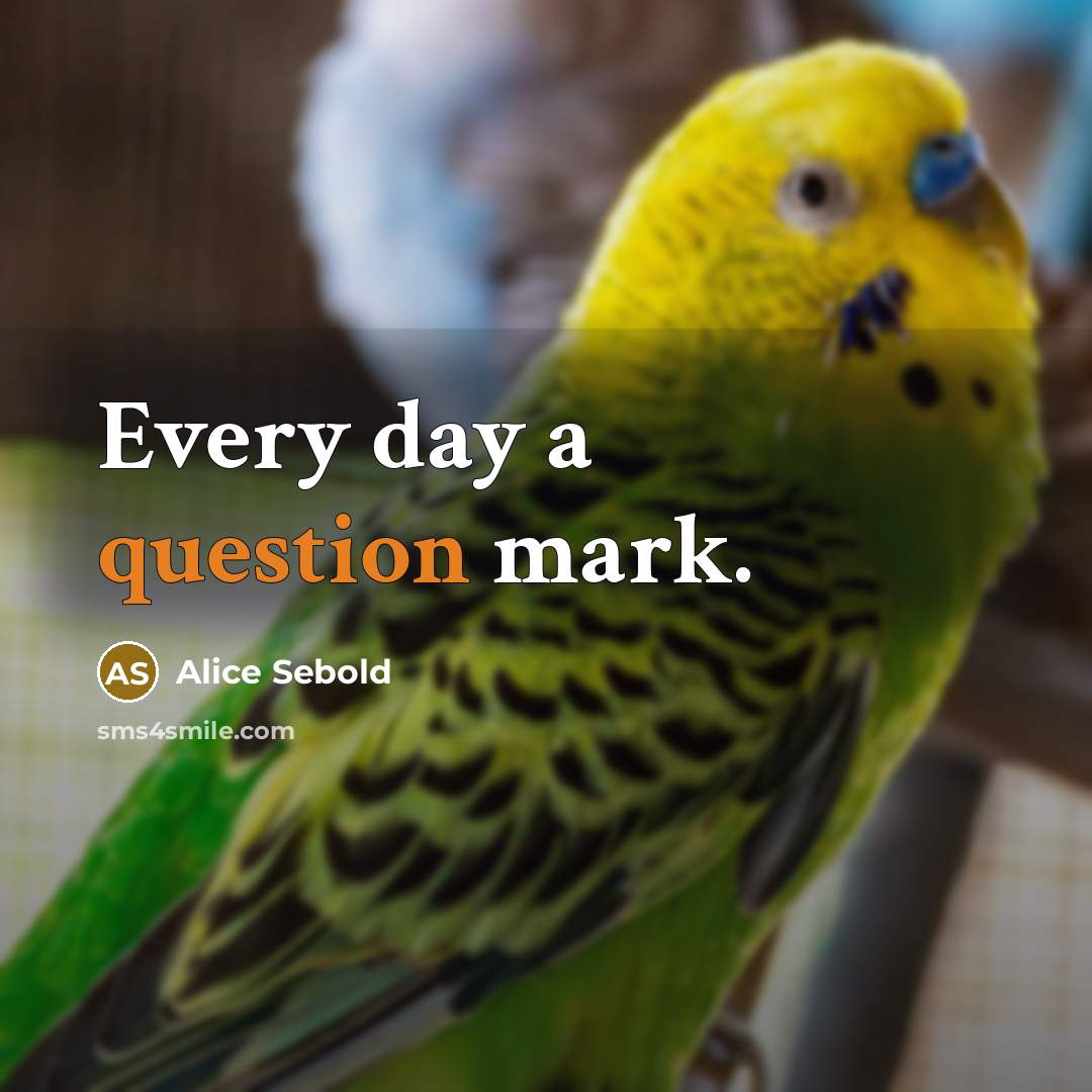 “Every day a question mark.” quote by Alice Sebold