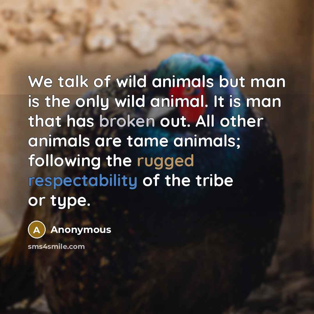 “We talk of wild animals but man is the only wild animal. It is man that has broken out. All other animals are tame animals; following the rugged respectability of the tribe or type.” quote by Anonymous