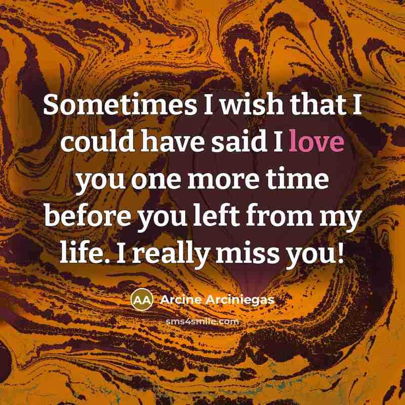 “Sometimes I wish that I could have said I love you one more time before you left from my life. I really miss you!” quote by Arcine Arciniegas
