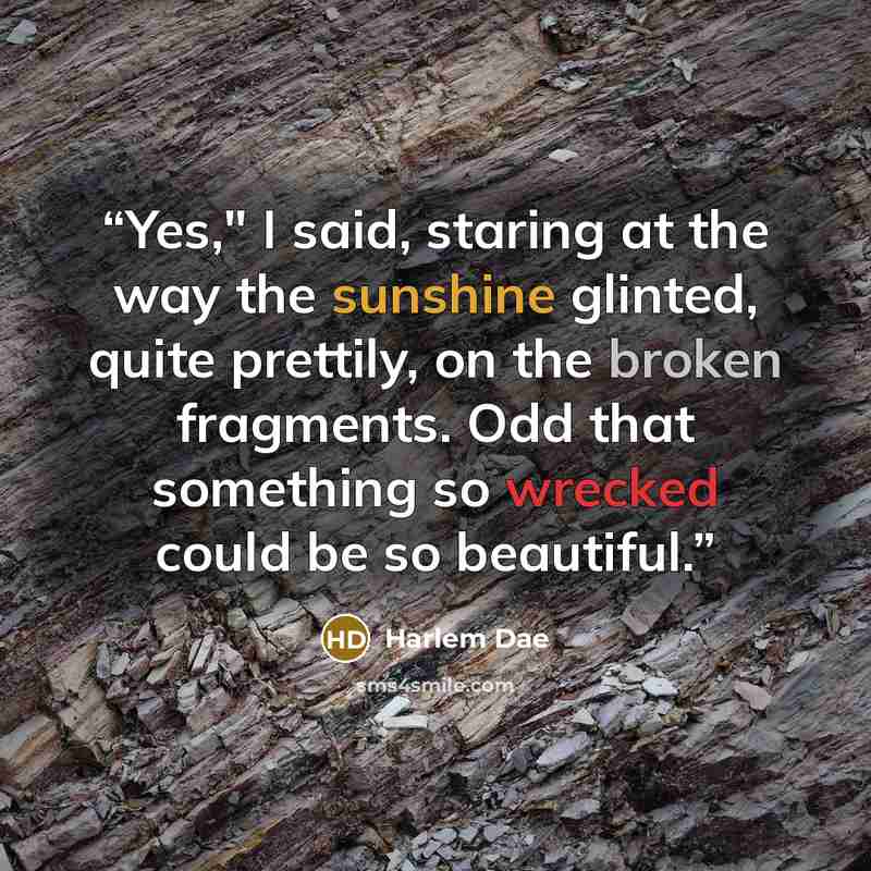 “Yes," I said, staring at the way the sunshine glinted, quite prettily, on the broken fragments. Odd that something so wrecked could be so beautiful.” quote by Harlem Dae
