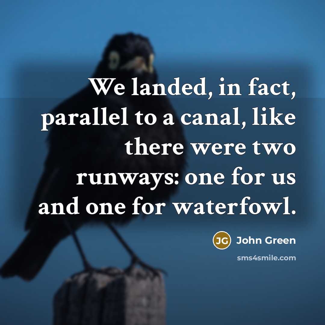 “We landed, in fact, parallel to a canal, like there were two runways: one for us and one for waterfowl.” quote by John Green