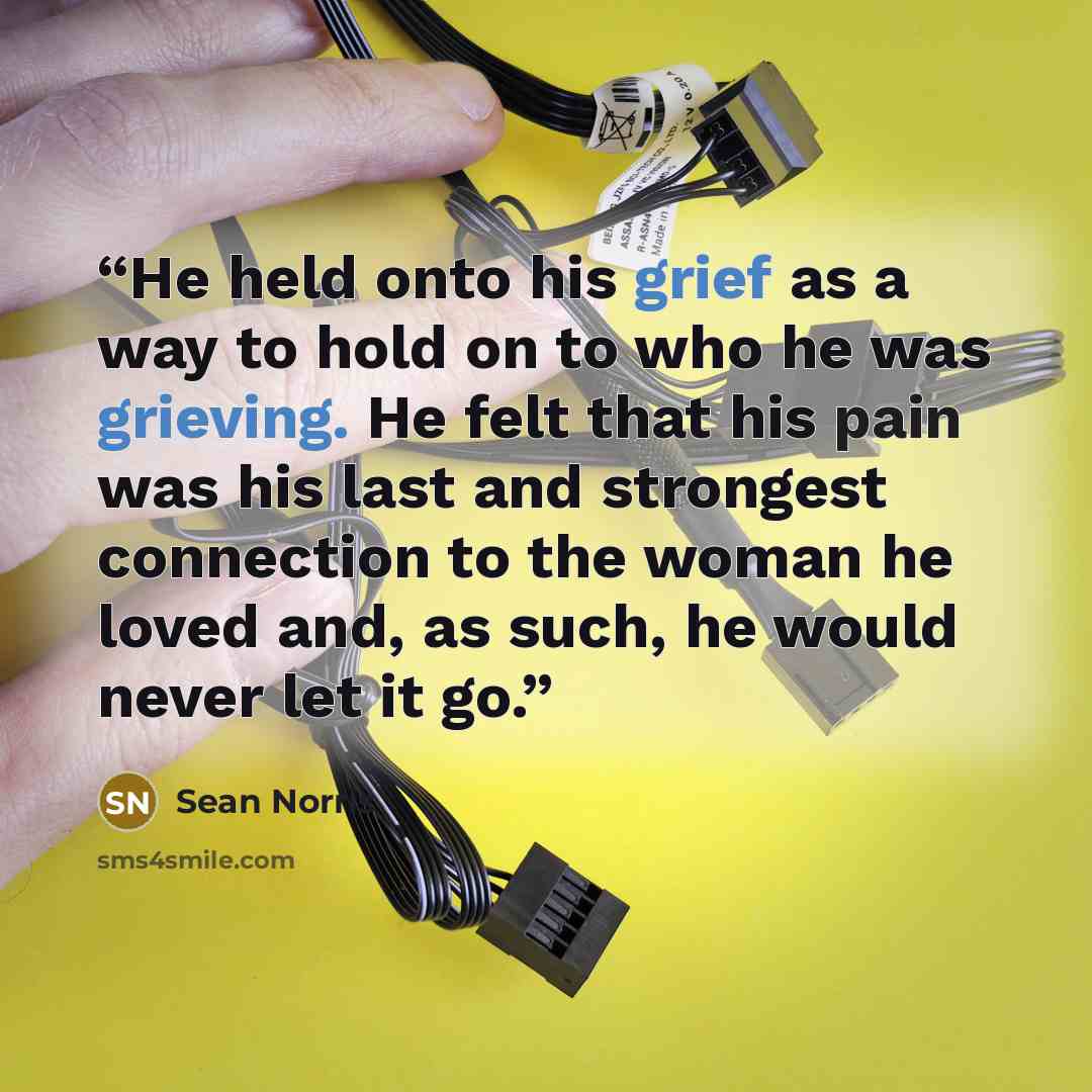 “He held onto his grief as a way to hold on to who he was grieving. He felt that his pain was his last and strongest connection to the woman he loved and, as such, he would never let it go.” quote by Sean Norris