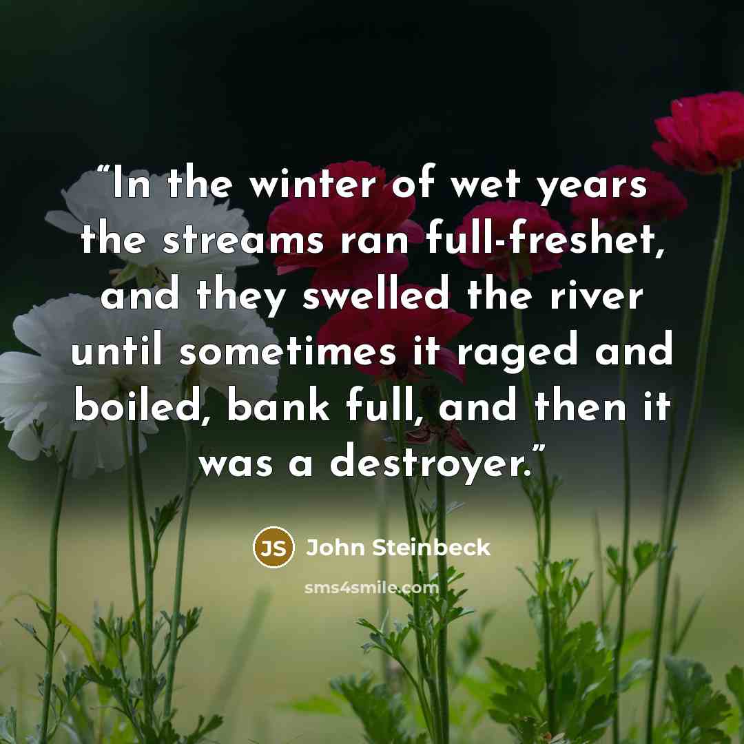 “In the winter of wet years the streams ran full-freshet, and they swelled the river until sometimes it raged and boiled, bank full, and then it was a destroyer.” quote by John Steinbeck
