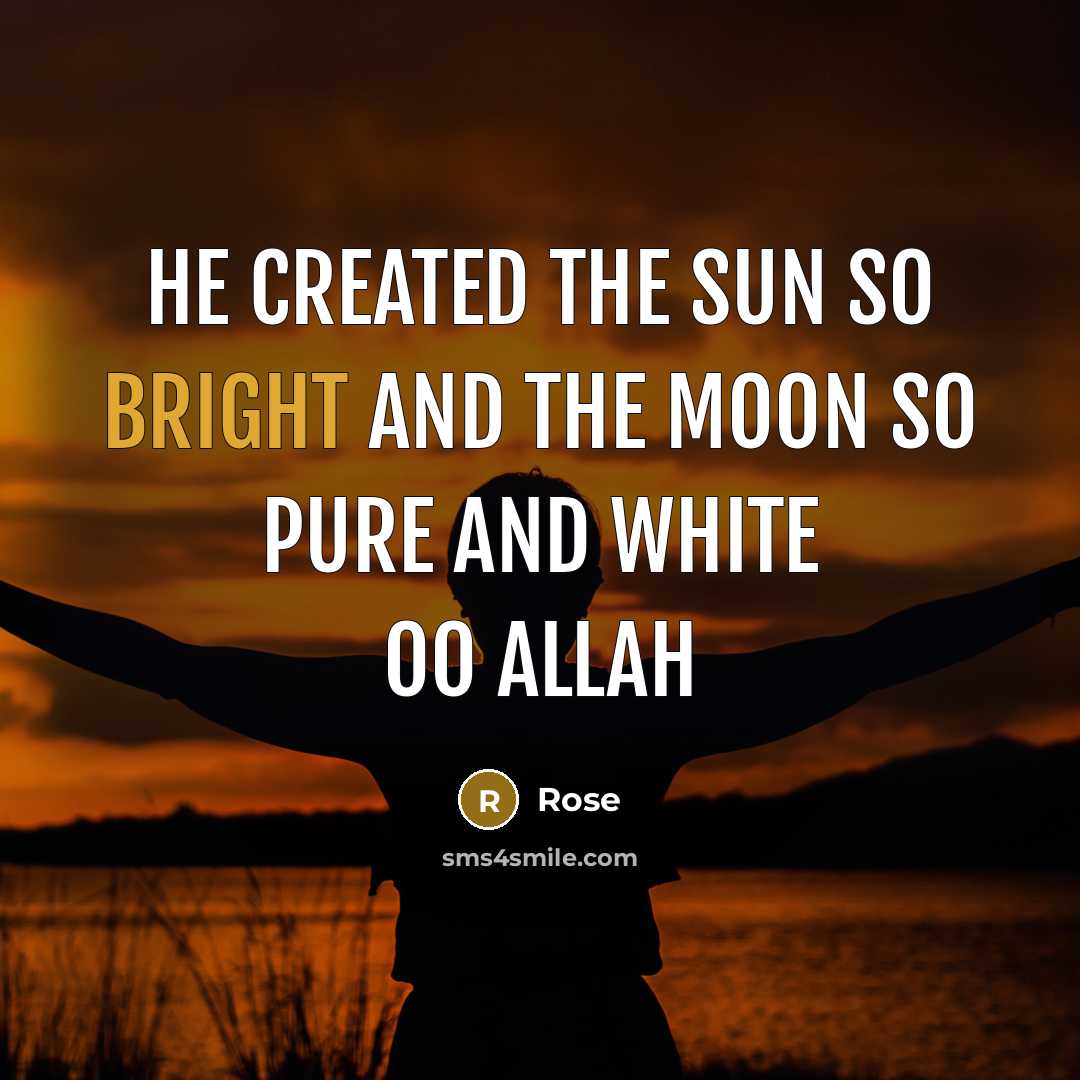 “He created the sun so bright And the moon so pure and white Oo Allah” quote by Rose