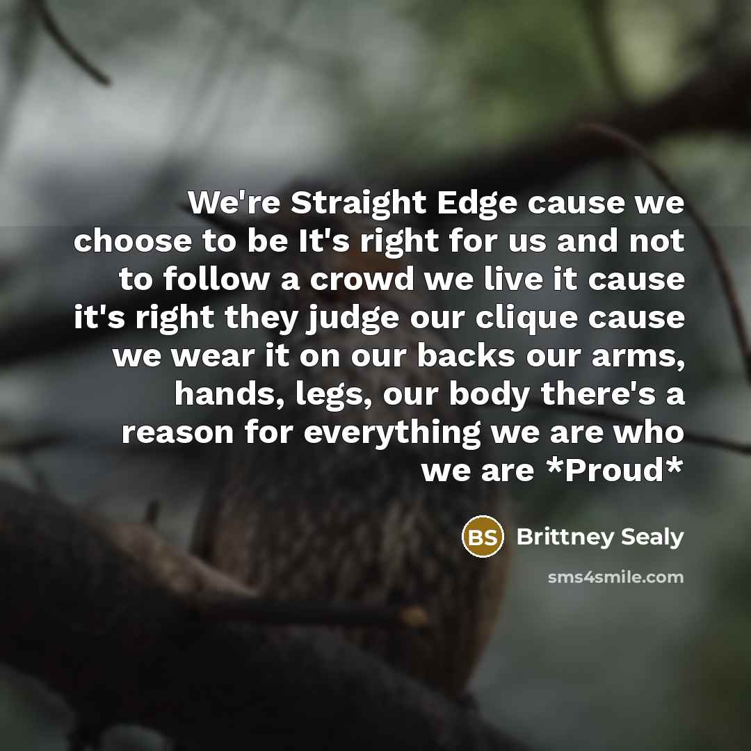 “We're Straight Edge cause we choose to be It's right for us and not to follow a crowd we live it cause it's right they judge our clique cause we wear it on our backs our arms, hands, legs, our body there's a reason for everything we are who we are *Proud*” quote by Brittney Sealy