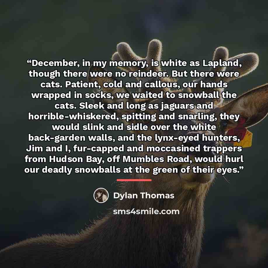 “December, in my memory, is white as Lapland, though there were no reindeer. But there were cats. Patient, cold and callous, our hands wrapped in socks, we waited to snowball the cats. Sleek and long as jaguars and horrible-whiskered, spitting and snarling, they would slink and sidle over the white…” quote by Dylan Thomas
