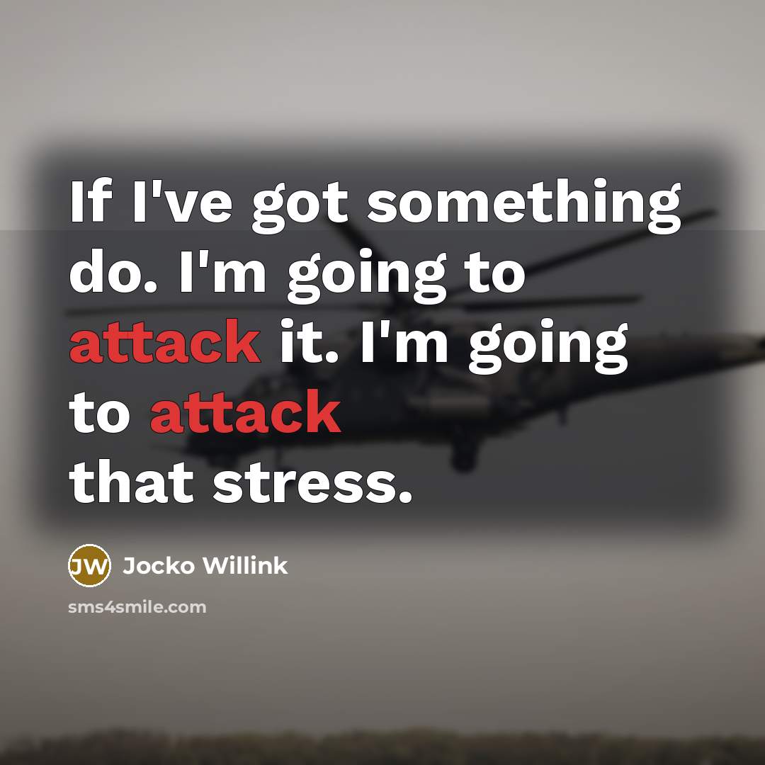 “If I've got something do. I'm going to attack it. I'm going to attack that stress.” quote by Jocko Willink