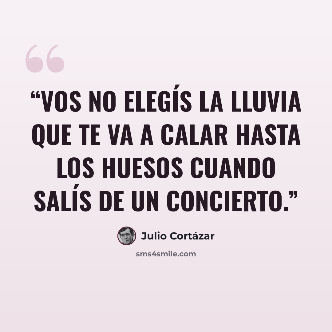 “Vos no elegís la lluvia que te va a calar hasta los huesos cuando salís de un concierto.” quote by Julio Cortázar
