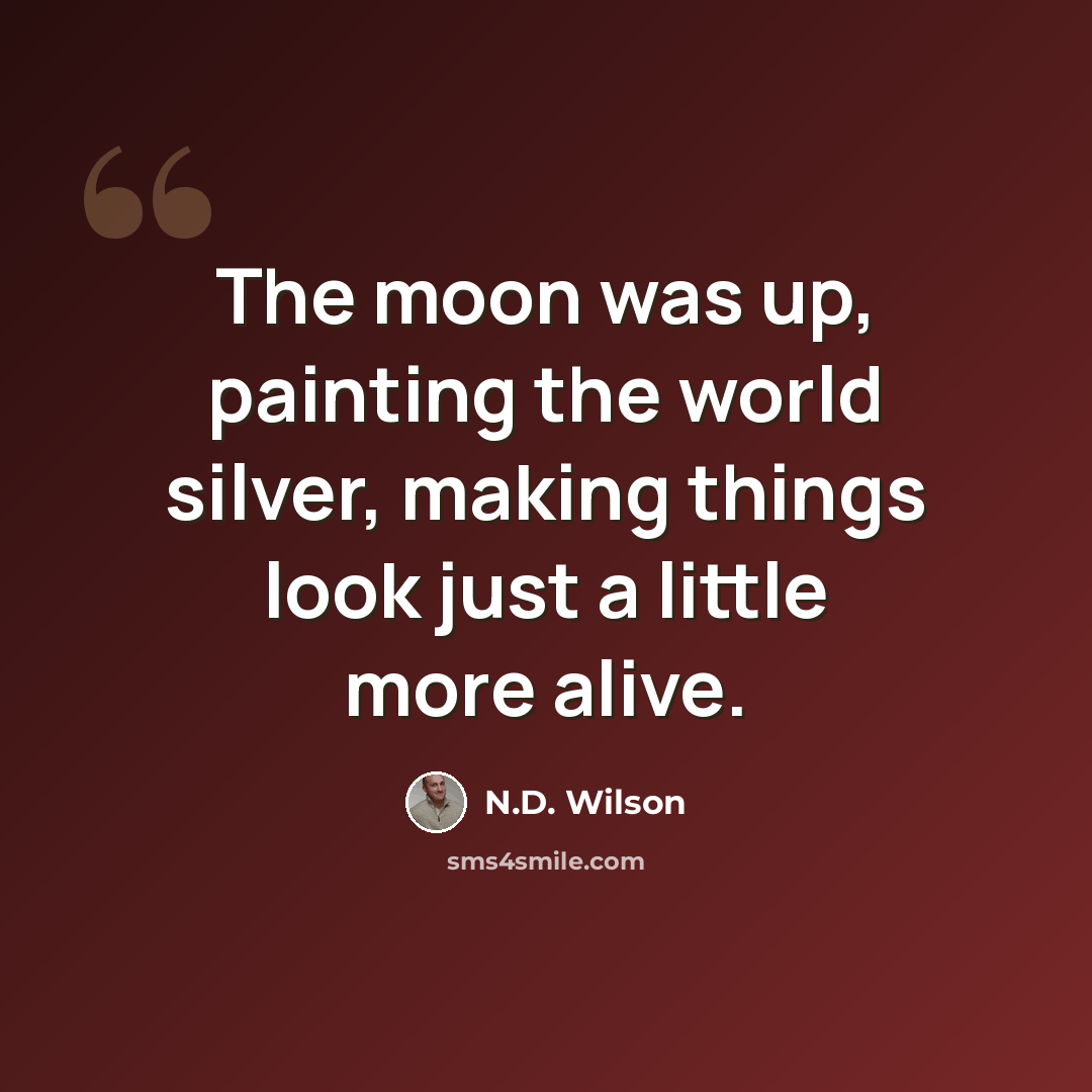 “The moon was up, painting the world silver, making things look just a little more alive.” quote by N.D. Wilson
