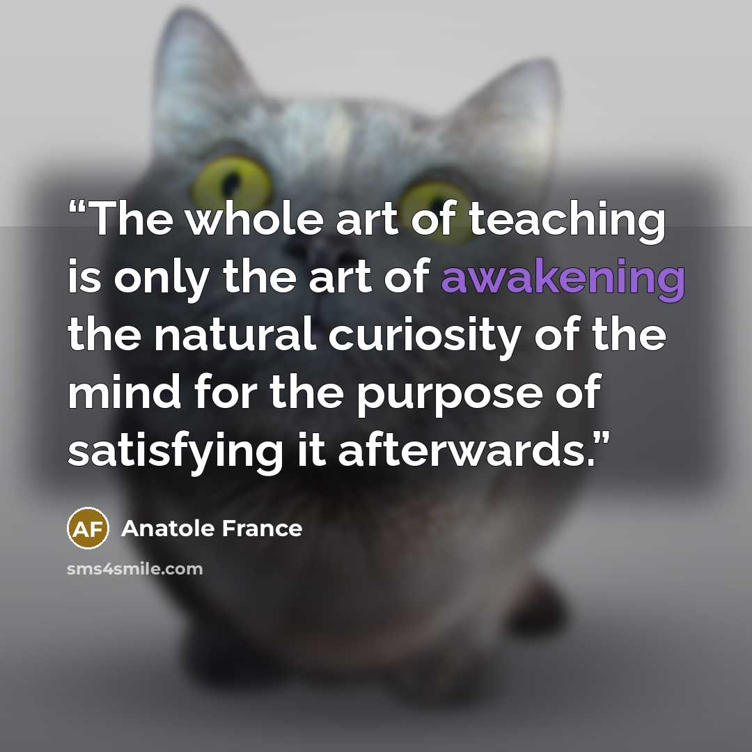 “The whole art of teaching is only the art of awakening the natural curiosity of the mind for the purpose of satisfying it afterwards.” quote by Anatole France