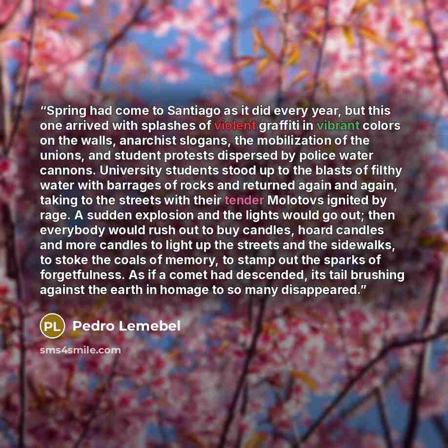“Spring had come to Santiago as it did every year, but this one arrived with splashes of violent graffiti in vibrant colors on the walls, anarchist slogans, the mobilization of the unions, and student protests dispersed by police water cannons. University students stood up to the blasts of filthy…” quote by Pedro Lemebel