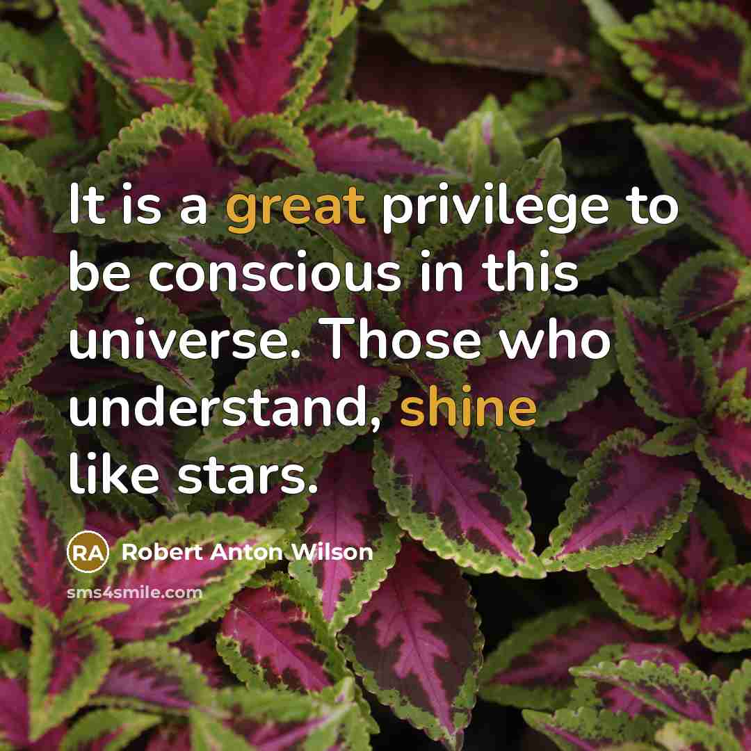 “It is a great privilege to be conscious in this universe. Those who understand, shine like stars.” quote by Robert Anton Wilson