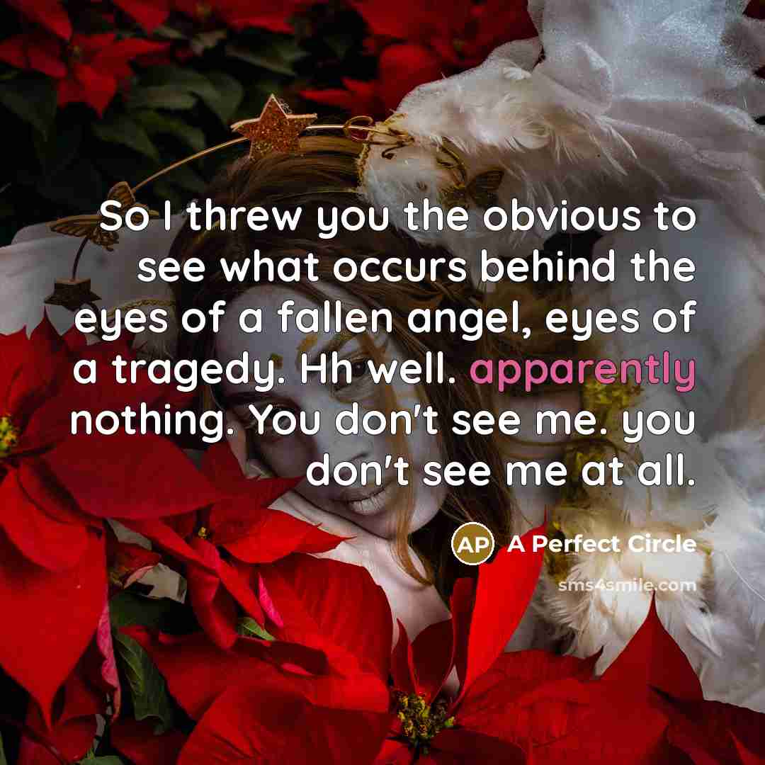 “So I threw you the obvious to see what occurs behind the eyes of a fallen angel, eyes of a tragedy. Hh well. apparently nothing. You don't see me. you don't see me at all.” quote by A Perfect Circle