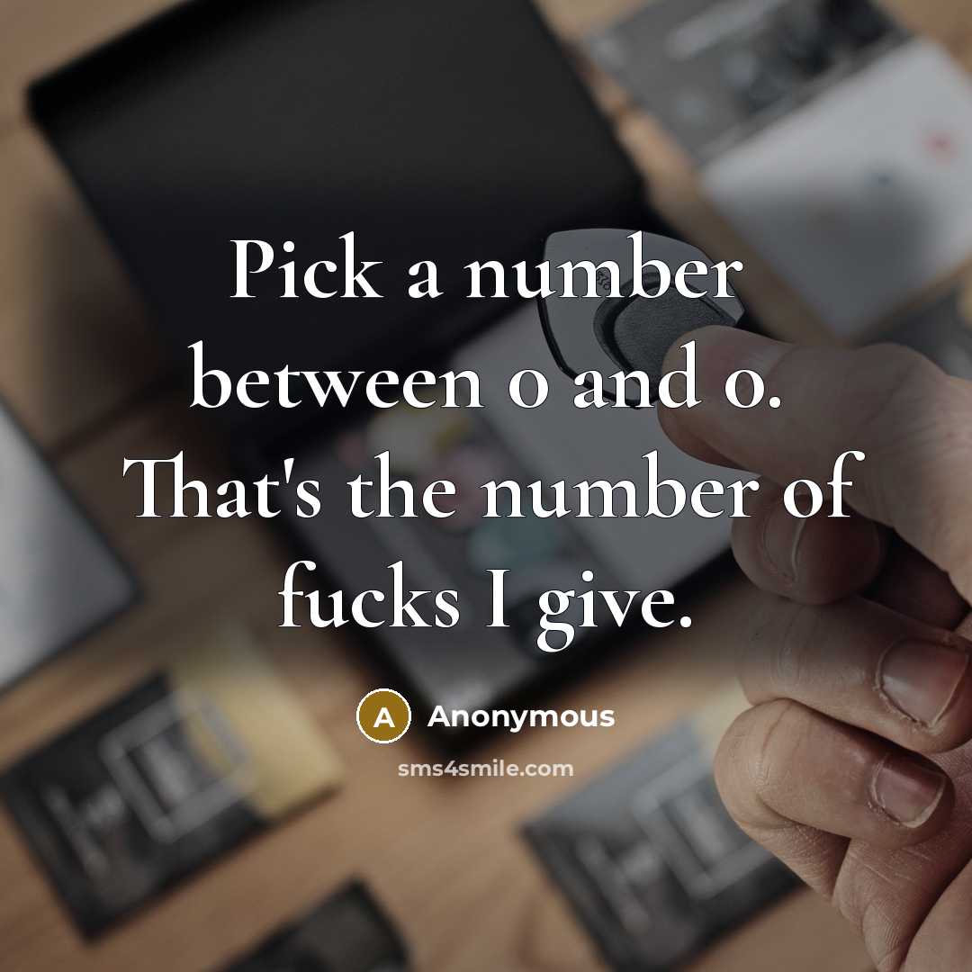 “Pick a number between 0 and 0. That's the number of fucks I give.” quote by Anonymous