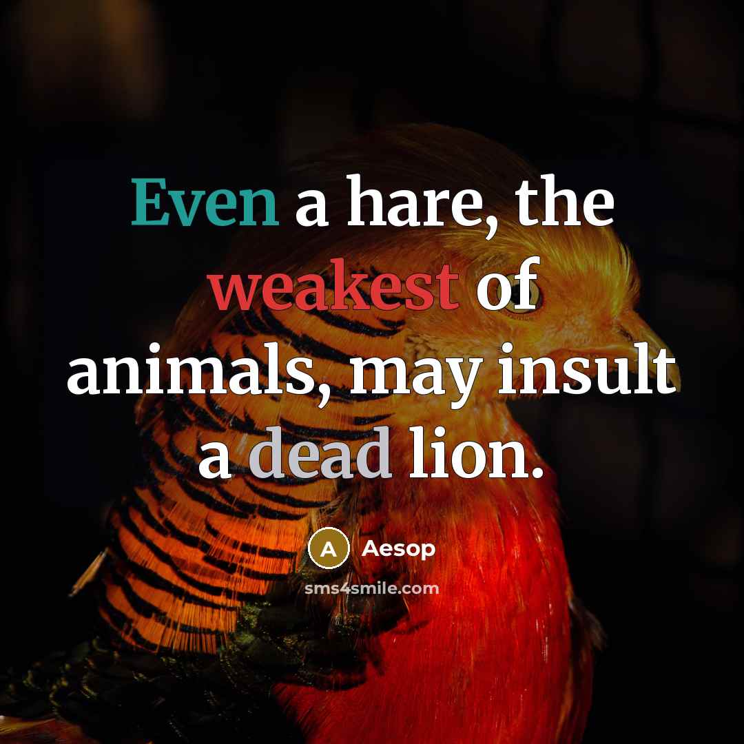 “Even a hare, the weakest of animals, may insult a dead lion.” quote by Aesop
