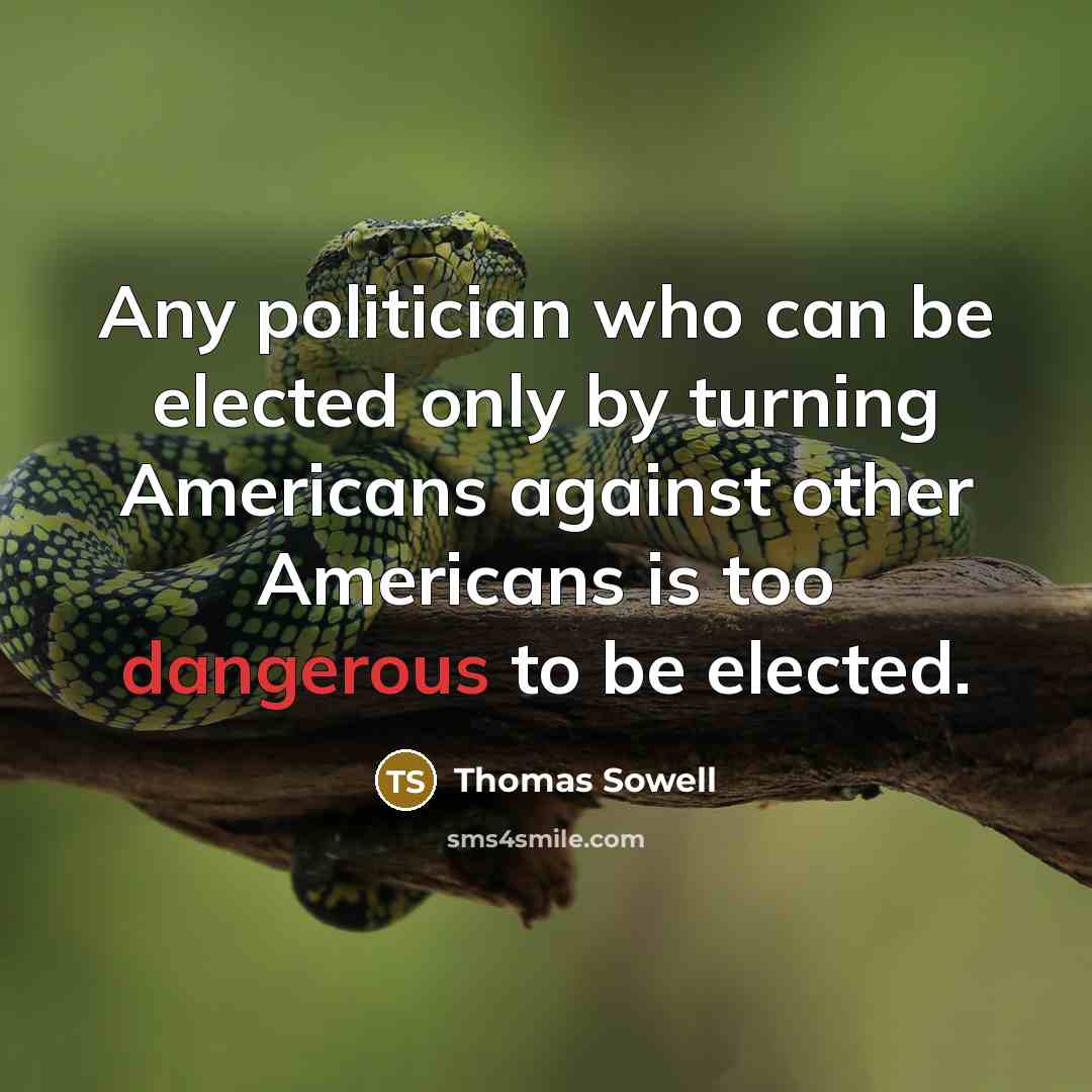 “Any politician who can be elected only by turning Americans against other Americans is too dangerous to be elected.” quote by Thomas Sowell