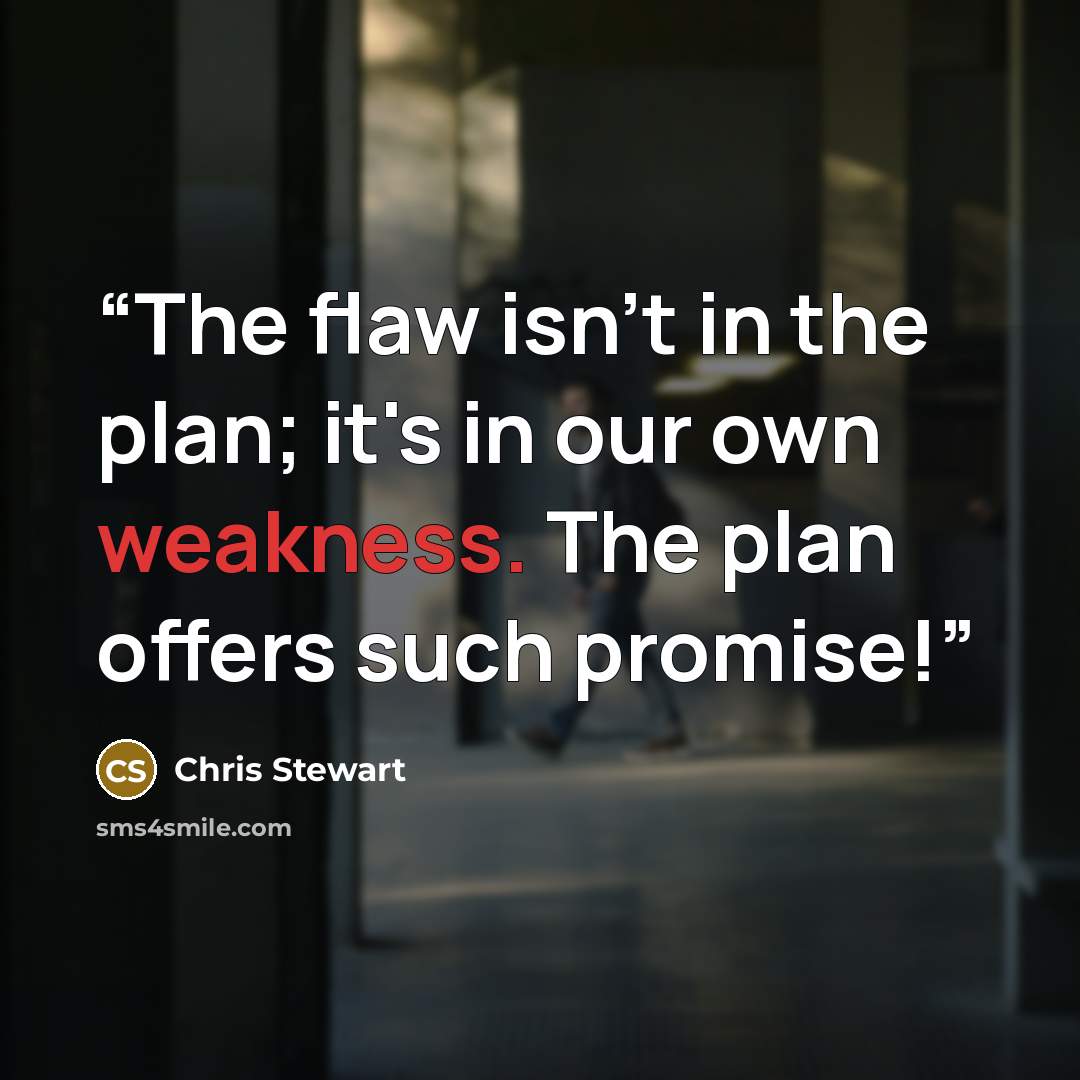 “The flaw isn't in the plan; it's in our own weakness. The plan offers such promise!” quote by Chris Stewart