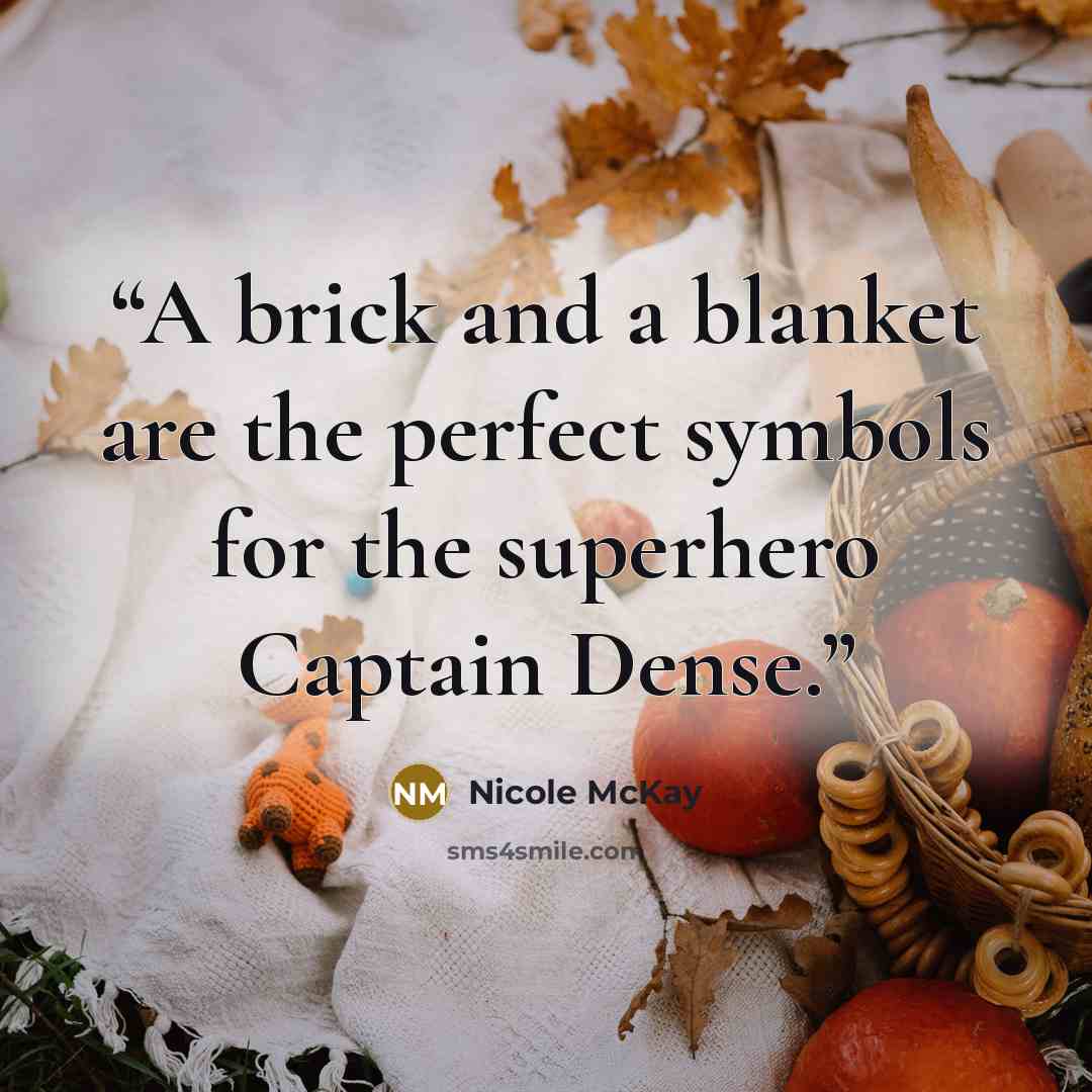 “A brick and a blanket are the perfect symbols for the superhero Captain Dense.” quote by Nicole McKay