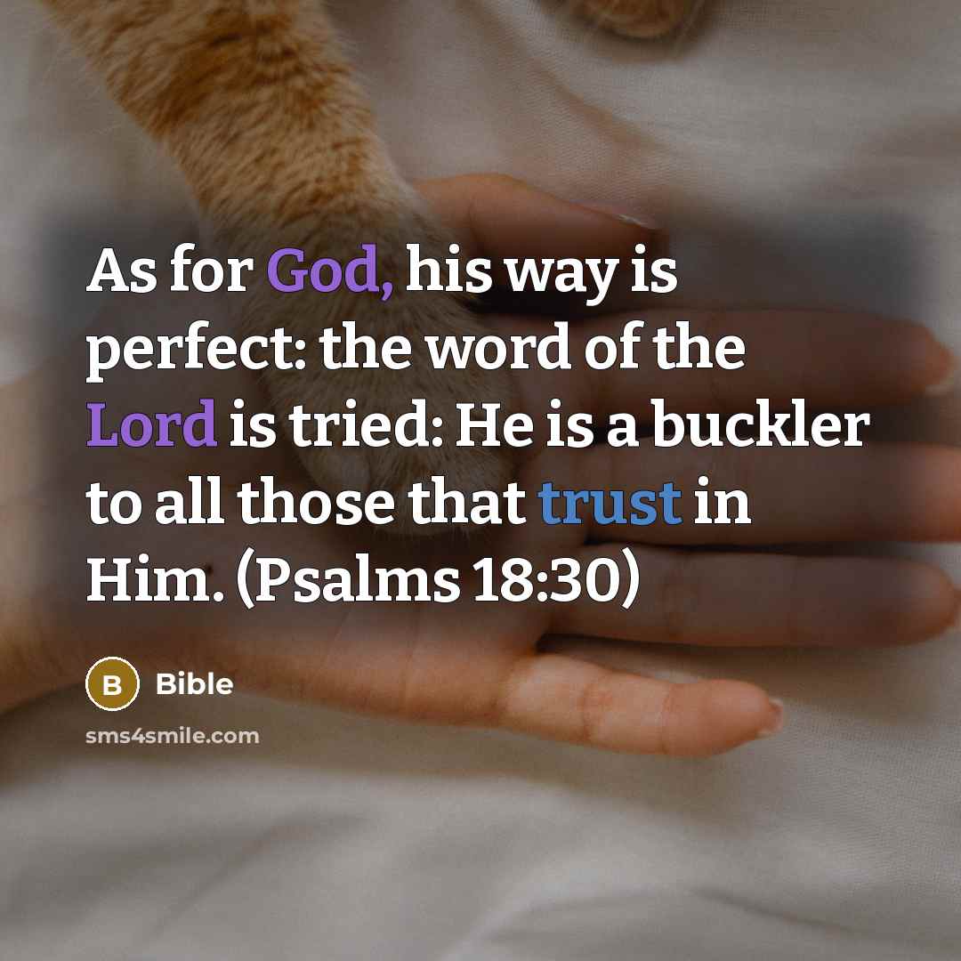 “As for God, his way is perfect: the word of the Lord is tried: He is a buckler to all those that trust in Him. (Psalms 18:30)” quote by Bible