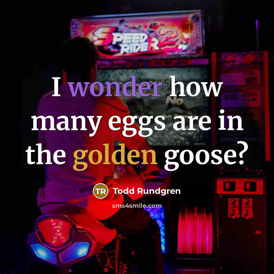 “I wonder how many eggs are in the golden goose?” quote by Todd Rundgren