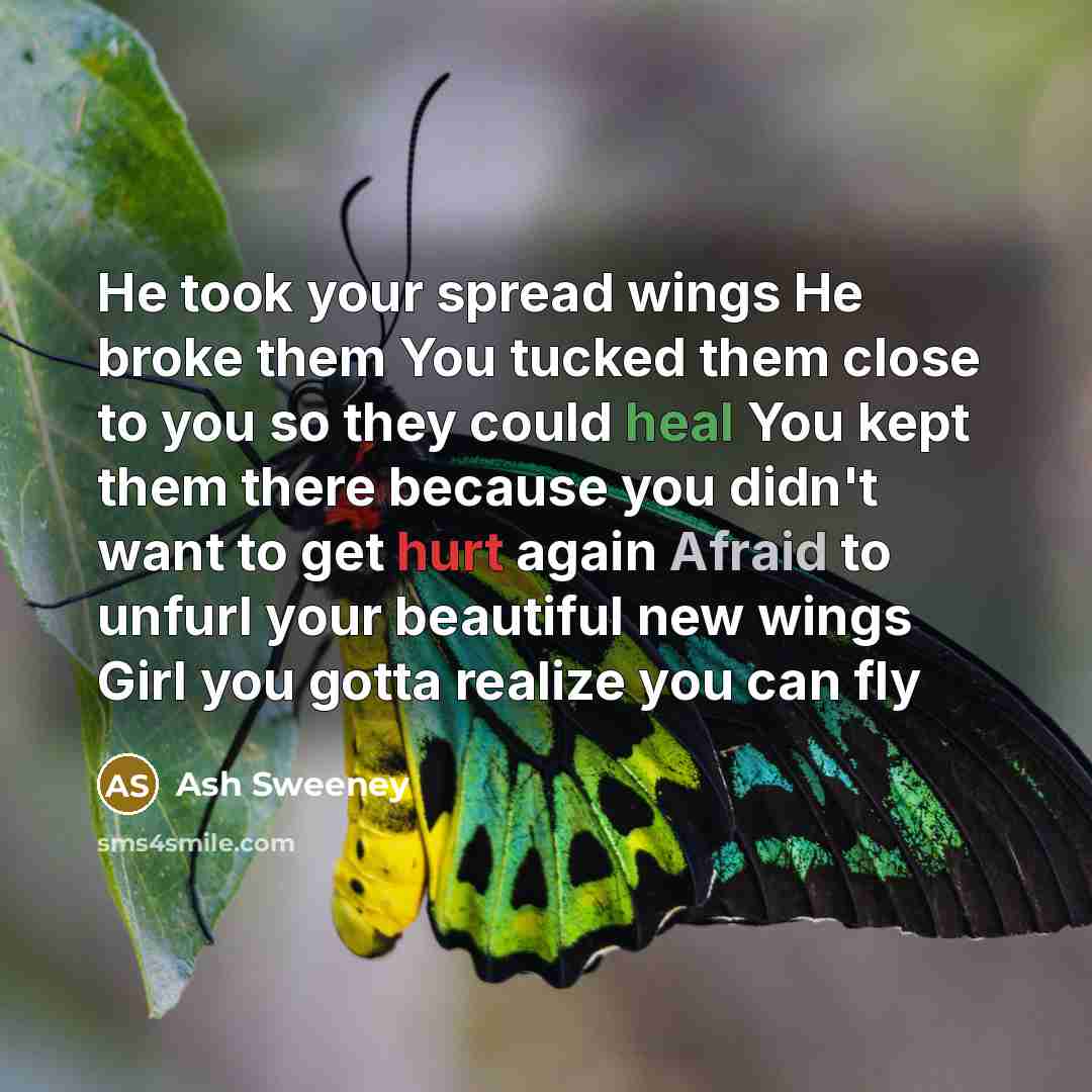 “He took your spread wings He broke them You tucked them close to you so they could heal You kept them there because you didn't want to get hurt again Afraid to unfurl your beautiful new wings Girl you gotta realize you can fly” quote by Ash Sweeney