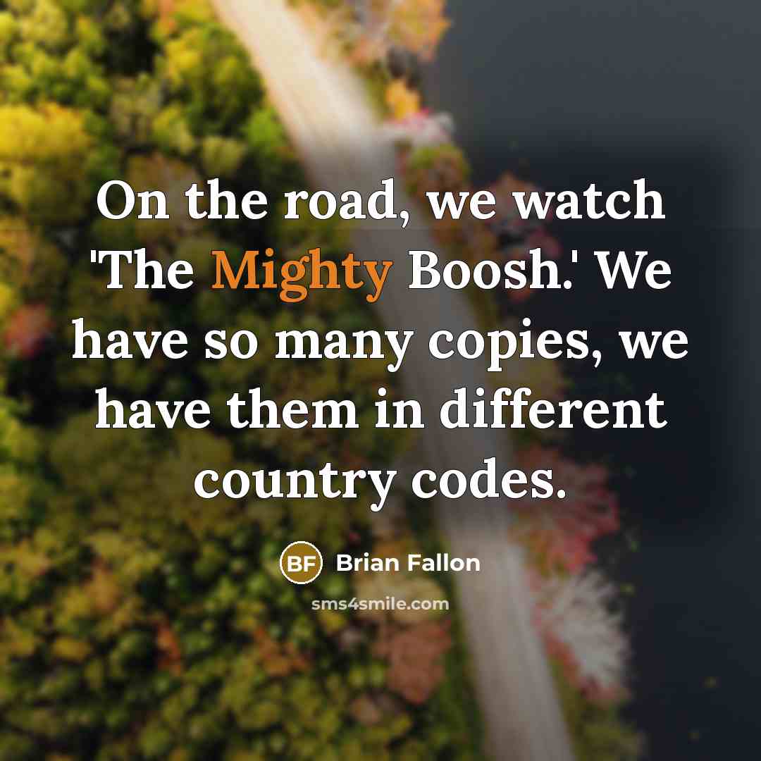 “On the road, we watch 'The Mighty Boosh.' We have so many copies, we have them in different country codes.” quote by Brian Fallon