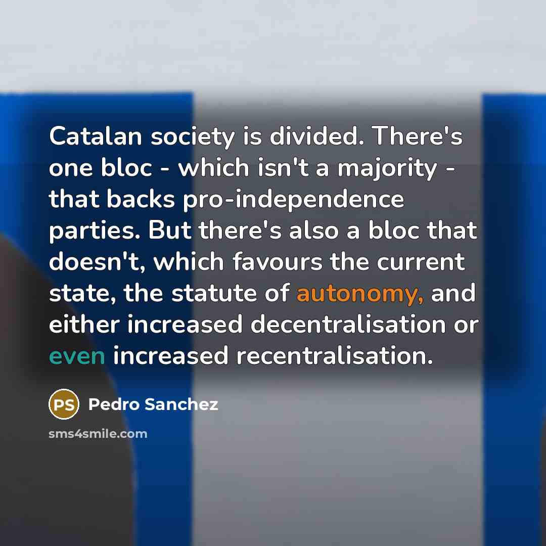 “Catalan society is divided. There's one bloc - which isn't a majority - that backs pro-independence parties. But there's also a bloc that doesn't, which favours the current state, the statute of autonomy, and either increased decentralisation or even increased recentralisation.” quote by Pedro Sanchez