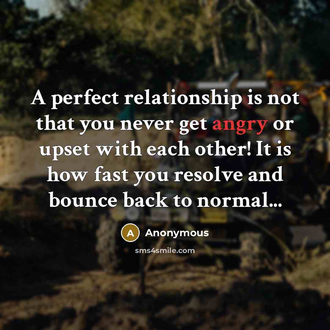 “A perfect relationship is not that you never get angry or upset with each other! It is how fast you resolve and bounce back to normal...” quote by Anonymous