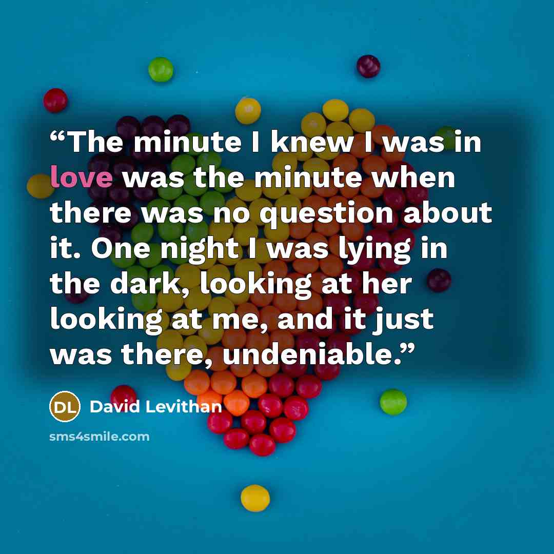 “The minute I knew I was in love was the minute when there was no question about it. One night I was lying in the dark, looking at her looking at me, and it just was there, undeniable.” quote by David Levithan