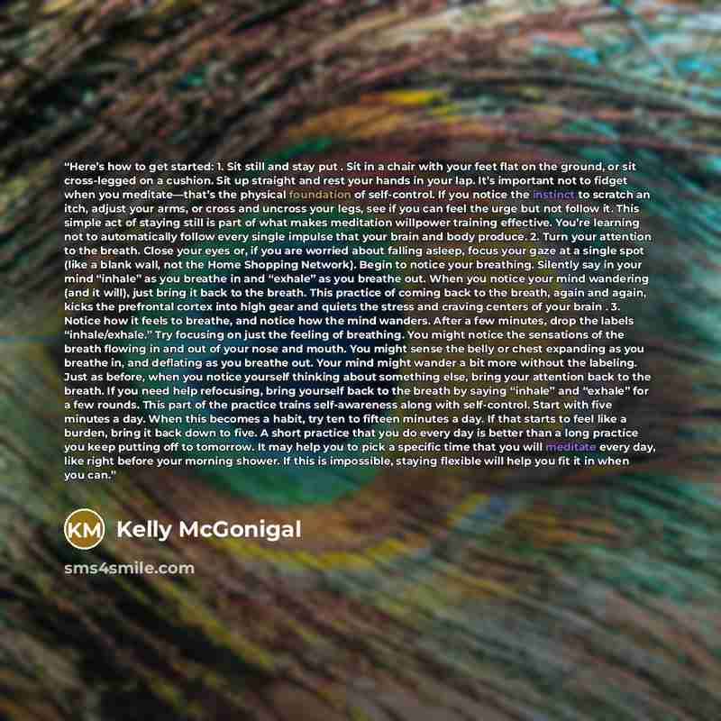 “Here’s how to get started: 1. Sit still and stay put . Sit in a chair with your feet flat on the ground, or sit cross-legged on a cushion. Sit up straight and rest your hands in your lap. It’s important not to fidget when you meditate—that’s the physical foundation of self-control. If you notice…” quote by Kelly McGonigal