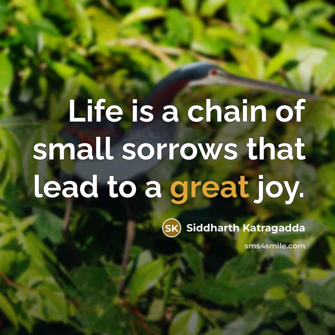 “Life is a chain of small sorrows that lead to a great joy.” quote by Siddharth Katragadda