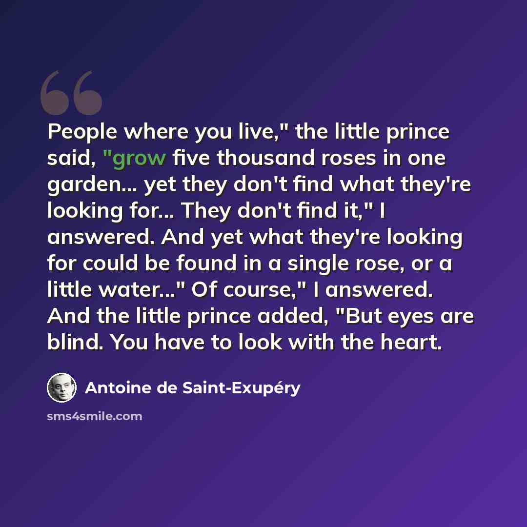 “People where you live," the little prince said, "grow five thousand roses in one garden... yet they don't find what they're looking for... They don't find it," I answered. And yet what they're looking for could be found in a single rose, or a little water..." Of course," I answered. And the little…” quote by Antoine de Saint-Exupery