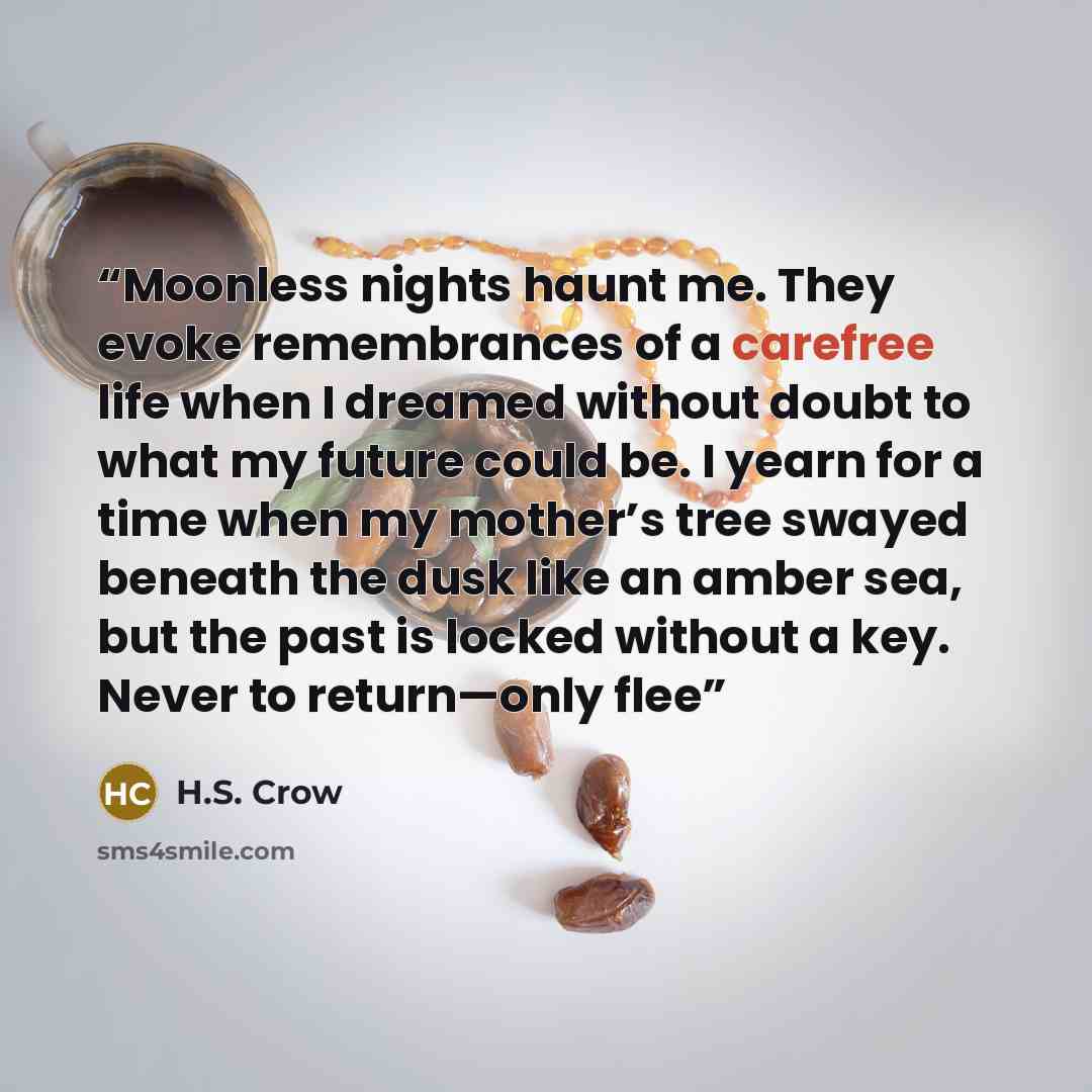 “Moonless nights haunt me. They evoke remembrances of a carefree life when I dreamed without doubt to what my future could be. I yearn for a time when my mother’s tree swayed beneath the dusk like an amber sea, but the past is locked without a key. Never to return—only flee” quote by H.S. Crow