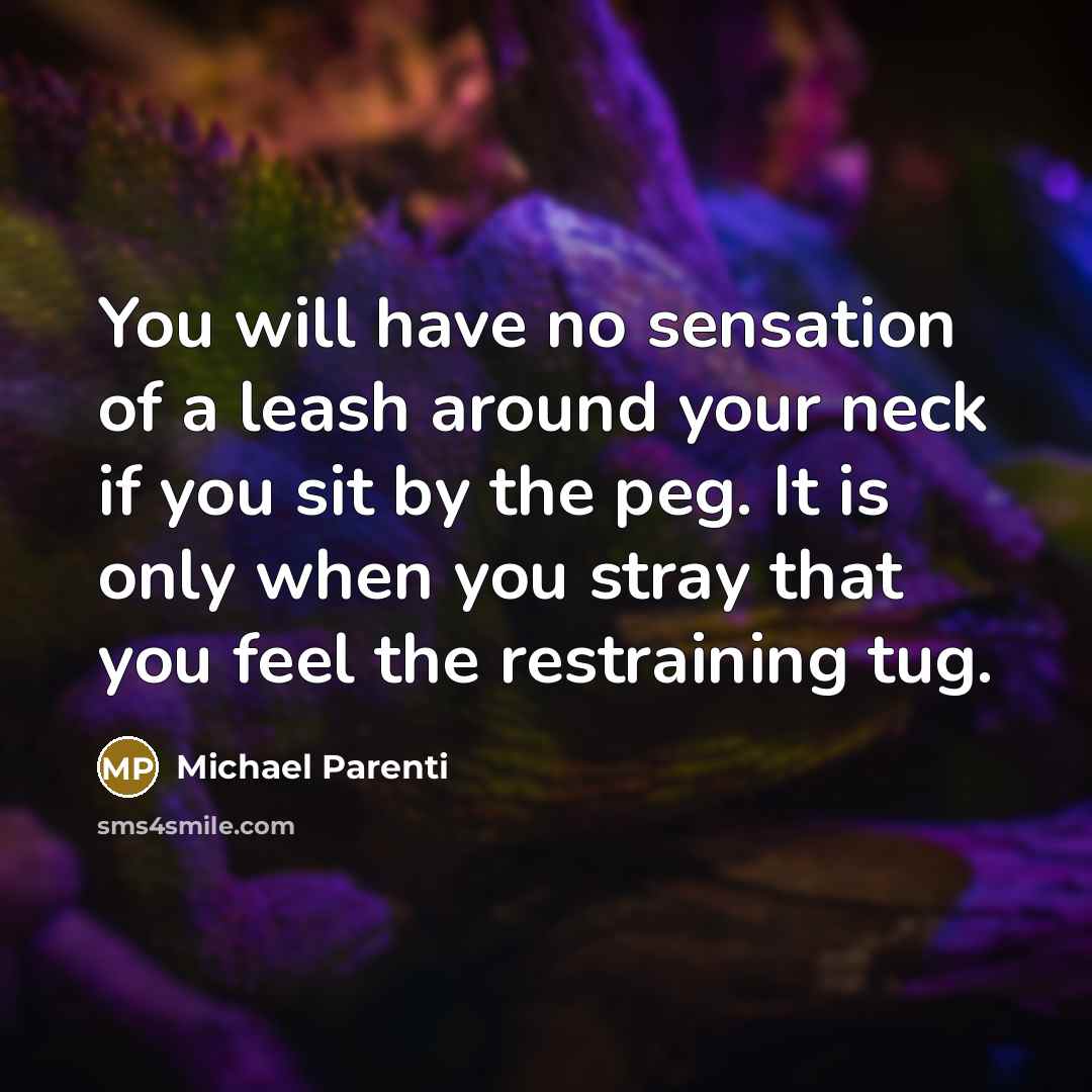 “You will have no sensation of a leash around your neck if you sit by the peg. It is only when you stray that you feel the restraining tug.” quote by Michael Parenti