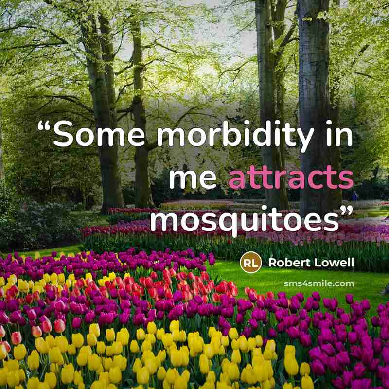 “Some morbidity in me attracts mosquitoes” quote by Robert Lowell