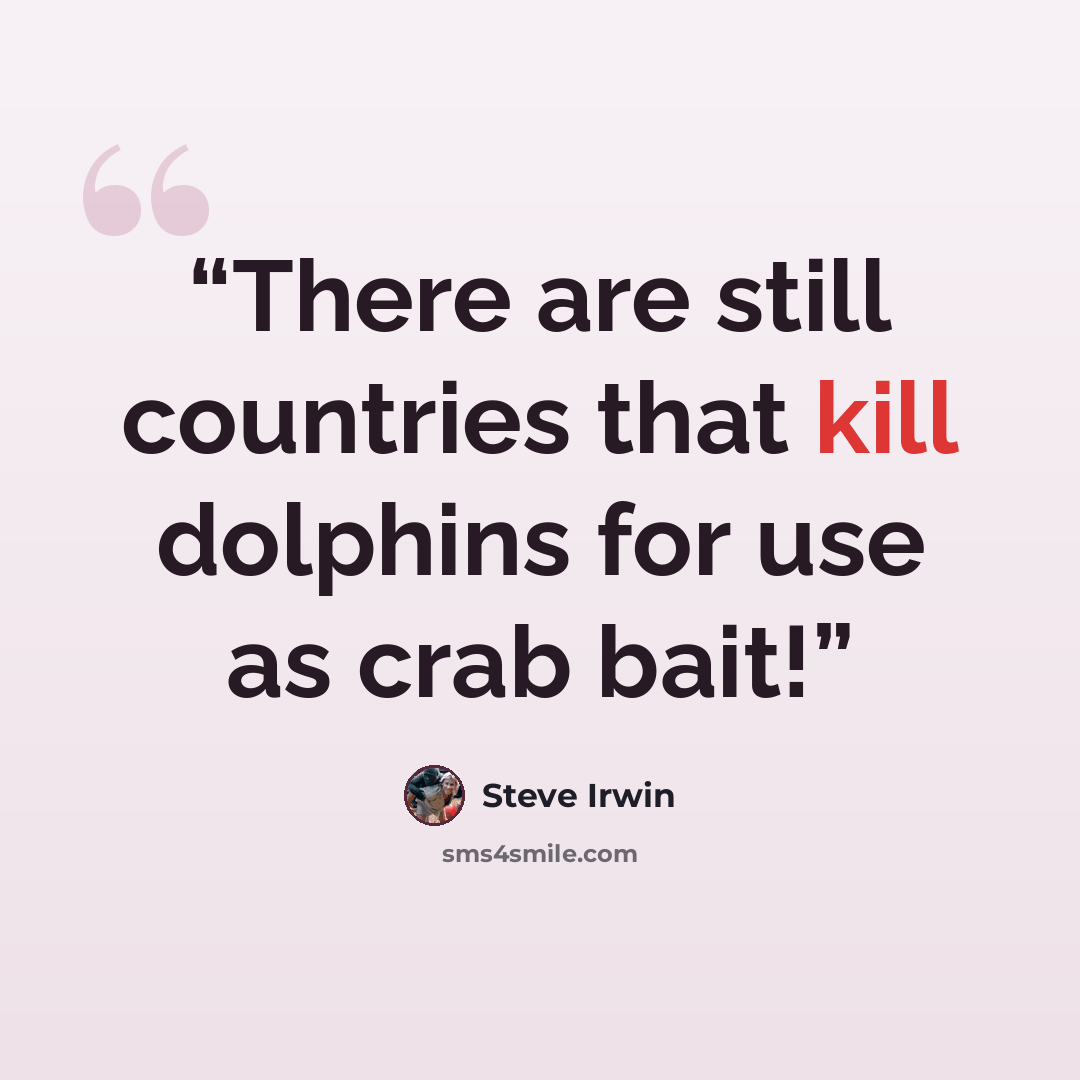 “There are still countries that kill dolphins for use as crab bait!” quote by Steve Irwin