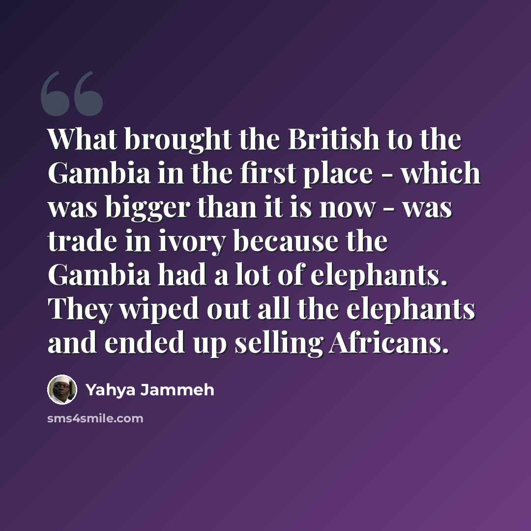 “What brought the British to the Gambia in the first place - which was bigger than it is now - was trade in ivory because the Gambia had a lot of elephants. They wiped out all the elephants and ended up selling Africans.” quote by Yahya Jammeh
