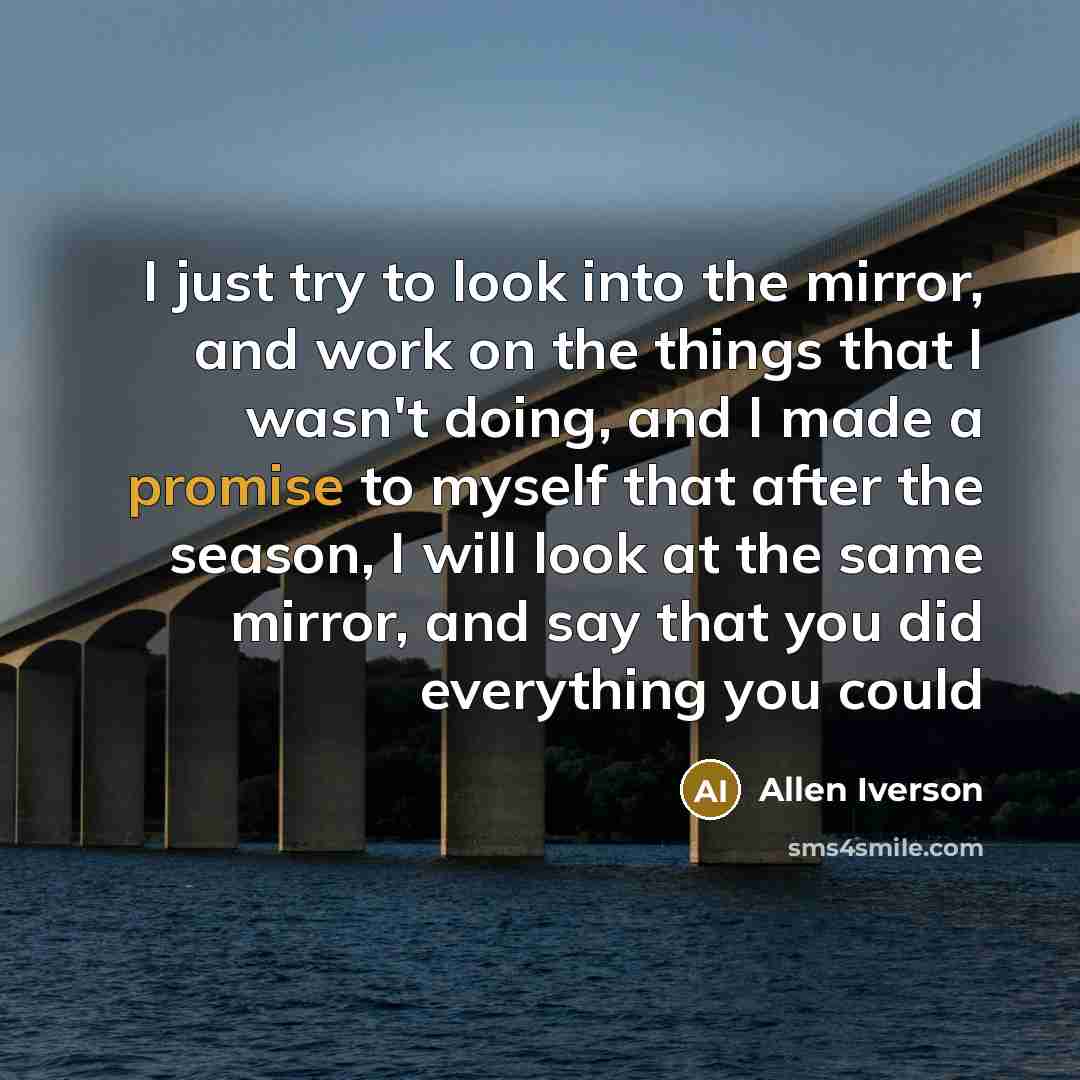 “I just try to look into the mirror, and work on the things that I wasn't doing, and I made a promise to myself that after the season, I will look at the same mirror, and say that you did everything you could” quote by Allen Iverson