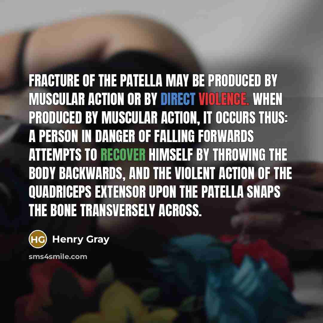 “Fracture of the patella may be produced by muscular action or by direct violence. When produced by muscular action, it occurs thus: a person in danger of falling forwards attempts to recover himself by throwing the body backwards, and the violent action of the quadriceps extensor upon the patella…” quote by Henry Gray