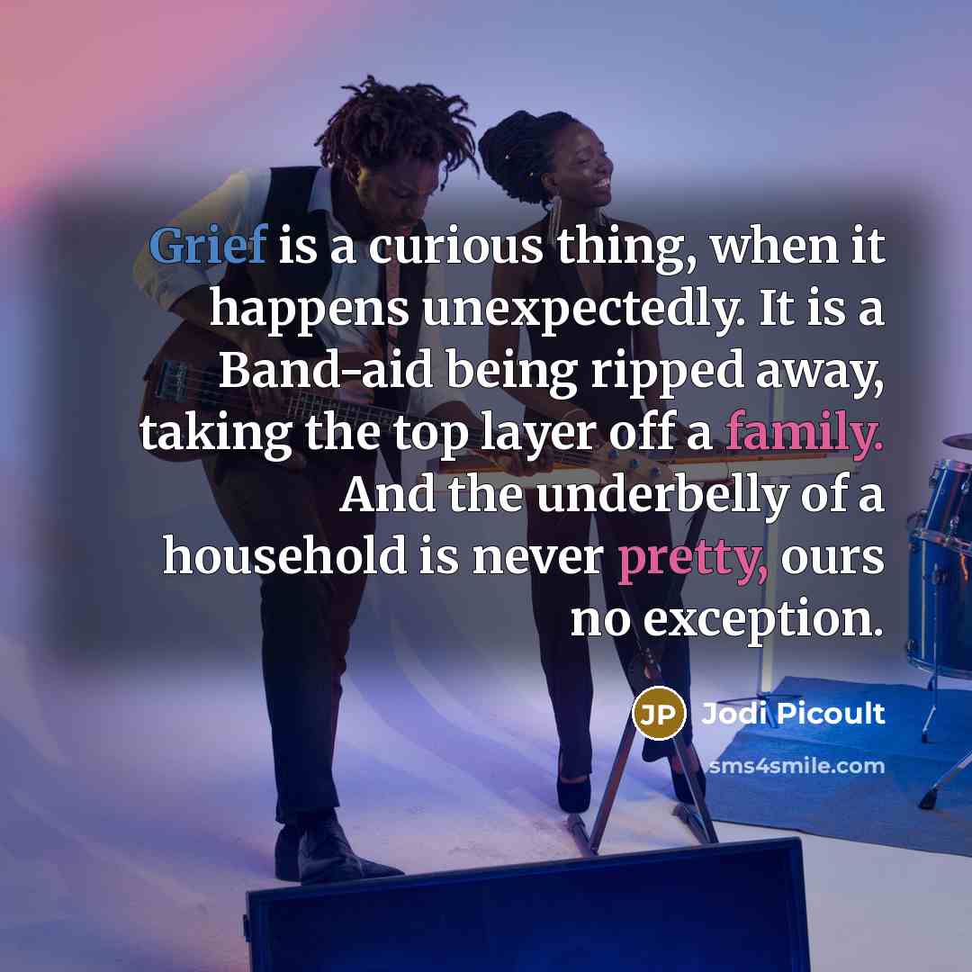 “Grief is a curious thing, when it happens unexpectedly. It is a Band-aid being ripped away, taking the top layer off a family. And the underbelly of a household is never pretty, ours no exception.” quote by Jodi Picoult