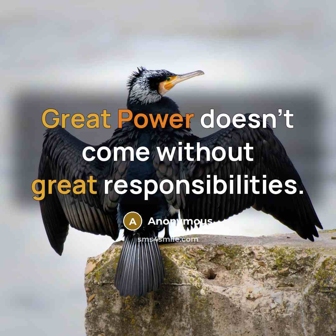 “Great Power doesn't come without great responsibilities.” quote by Anonymous