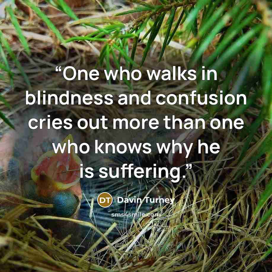 “One who walks in blindness and confusion cries out more than one who knows why he is suffering.” quote by Davin Turney