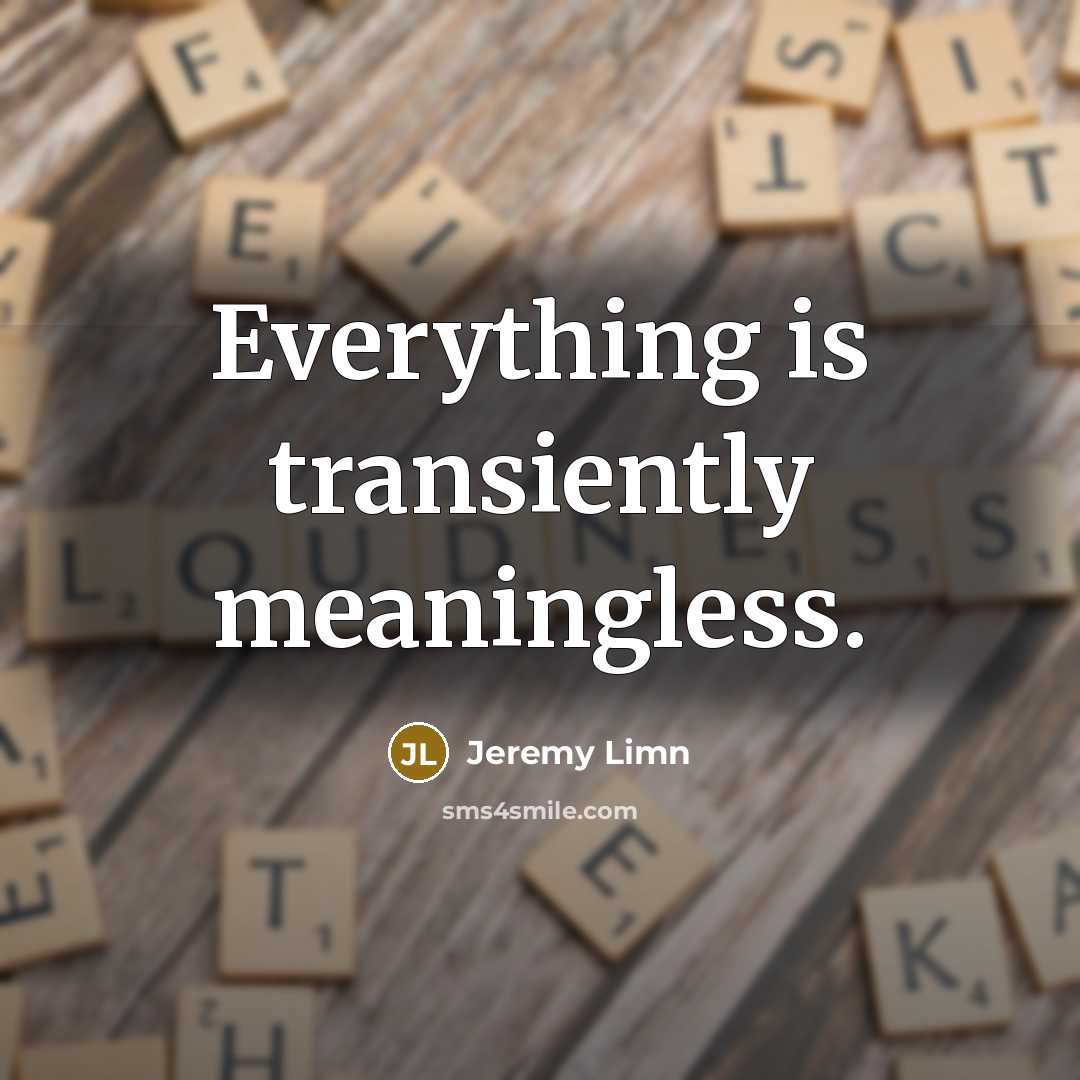 “Everything is transiently meaningless.” quote by Jeremy Limn