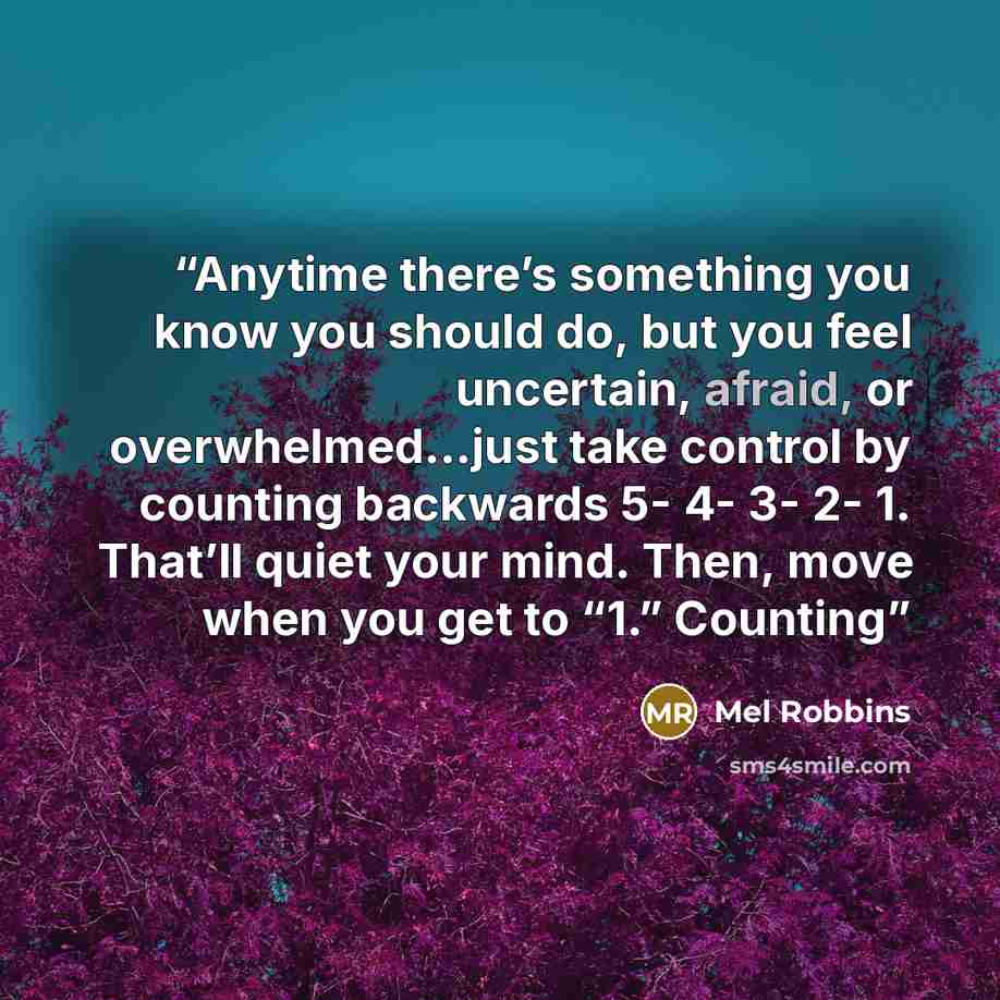 “Anytime there’s something you know you should do, but you feel uncertain, afraid, or overwhelmed…just take control by counting backwards 5- 4- 3- 2- 1. That’ll quiet your mind. Then, move when you get to “1.” Counting” quote by Mel Robbins