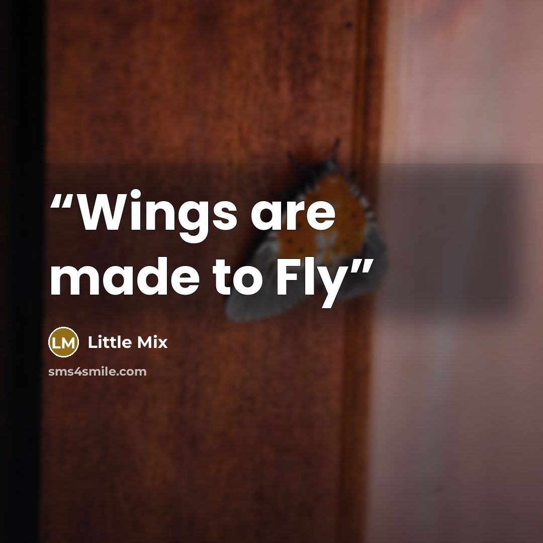 “Wings are made to Fly” quote by Little Mix